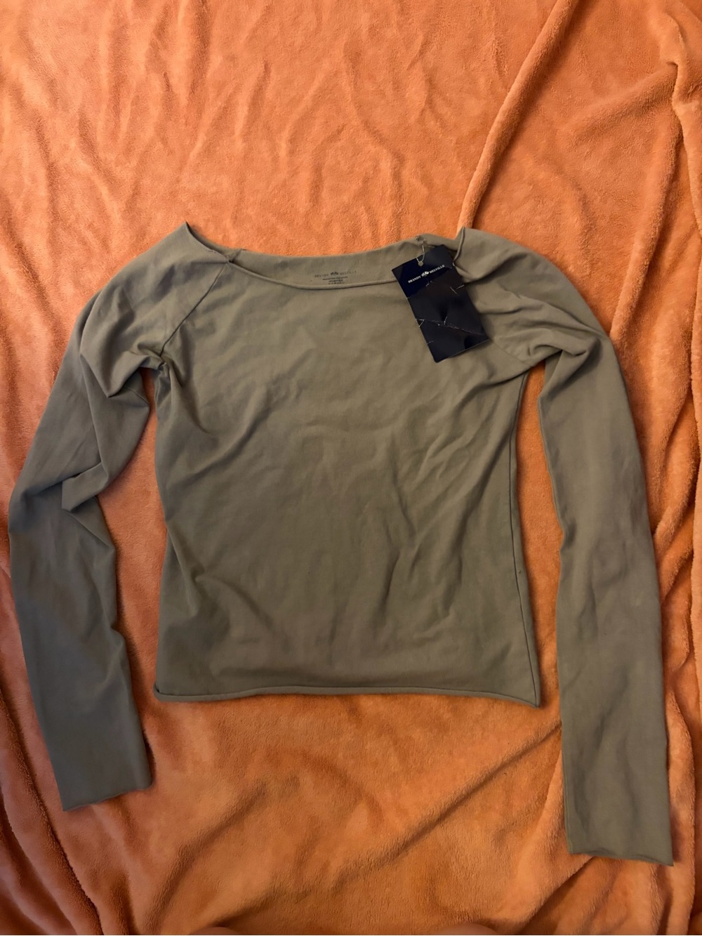 Brandy Melville Long Sleeve Grey Off-Shoulder Top
